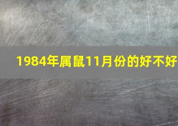 1984年属鼠11月份的好不好