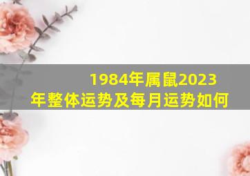 1984年属鼠2023年整体运势及每月运势如何