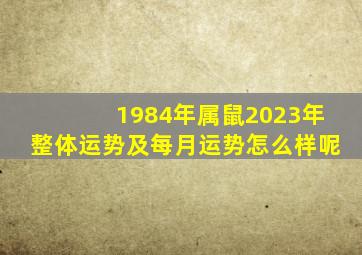 1984年属鼠2023年整体运势及每月运势怎么样呢