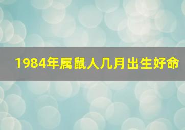 1984年属鼠人几月出生好命