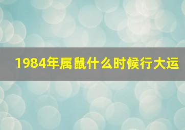 1984年属鼠什么时候行大运