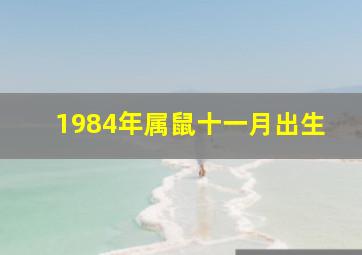 1984年属鼠十一月出生