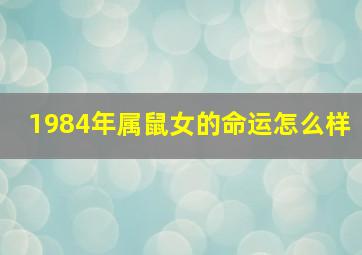 1984年属鼠女的命运怎么样