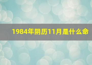 1984年阴历11月是什么命