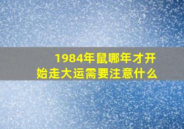 1984年鼠哪年才开始走大运需要注意什么