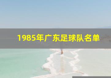 1985年广东足球队名单