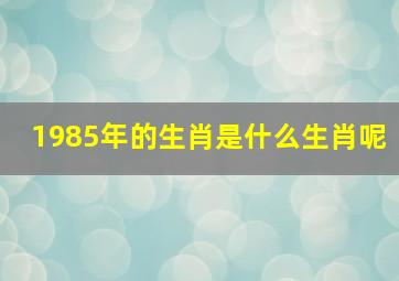 1985年的生肖是什么生肖呢