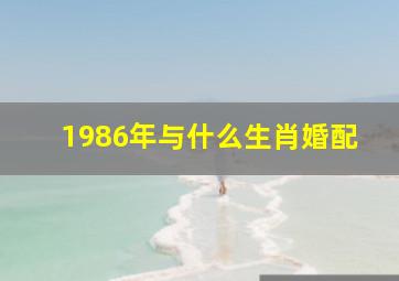 1986年与什么生肖婚配