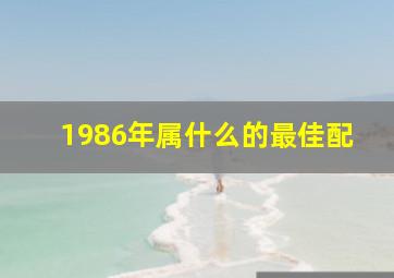 1986年属什么的最佳配