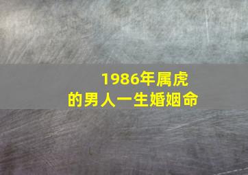 1986年属虎的男人一生婚姻命