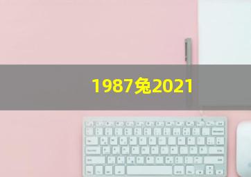 1987兔2021