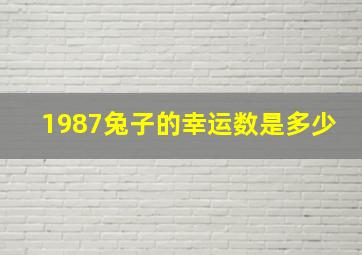 1987兔子的幸运数是多少