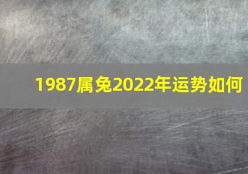 1987属兔2022年运势如何