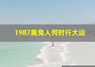 1987属兔人何时行大运