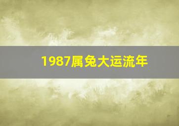 1987属兔大运流年