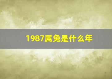 1987属兔是什么年