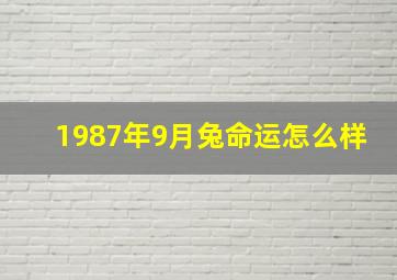 1987年9月兔命运怎么样