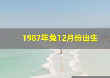 1987年兔12月份出生