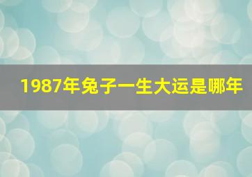 1987年兔子一生大运是哪年