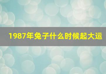 1987年兔子什么时候起大运