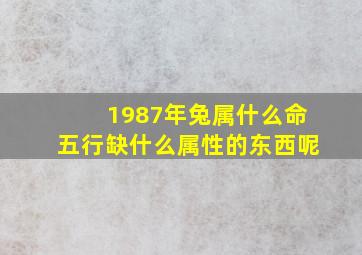 1987年兔属什么命五行缺什么属性的东西呢