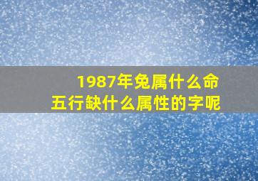 1987年兔属什么命五行缺什么属性的字呢