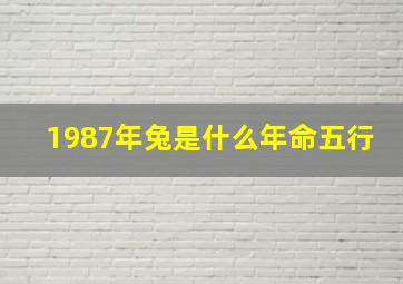 1987年兔是什么年命五行