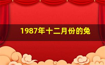 1987年十二月份的兔