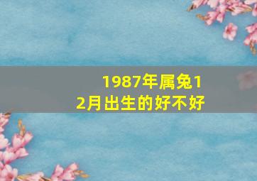 1987年属兔12月出生的好不好