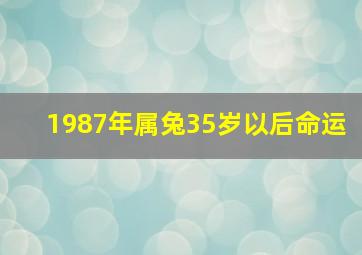 1987年属兔35岁以后命运