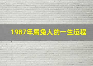 1987年属兔人的一生运程