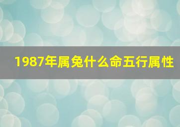 1987年属兔什么命五行属性