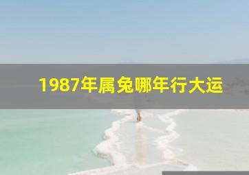 1987年属兔哪年行大运