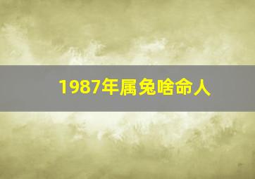 1987年属兔啥命人