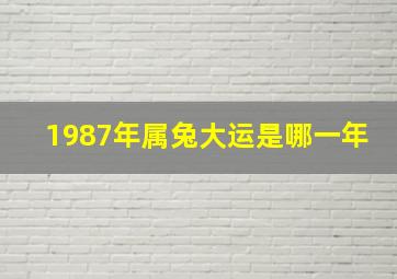 1987年属兔大运是哪一年