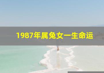 1987年属兔女一生命运