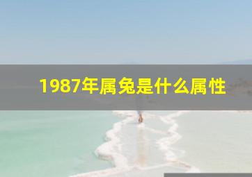 1987年属兔是什么属性