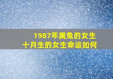 1987年属兔的女生十月生的女生命运如何