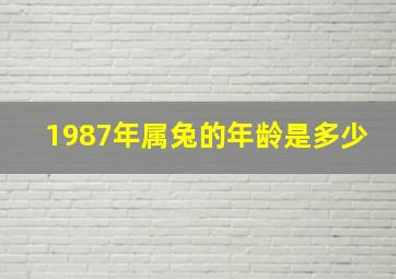 1987年属兔的年龄是多少