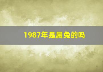 1987年是属兔的吗