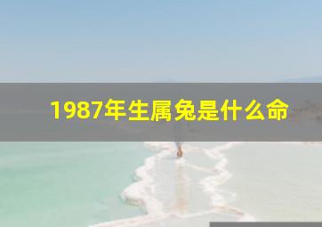 1987年生属兔是什么命