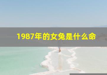 1987年的女兔是什么命