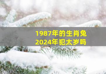 1987年的生肖兔2024年犯太岁吗