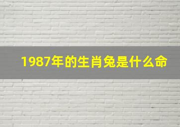 1987年的生肖兔是什么命