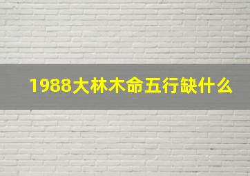 1988大林木命五行缺什么