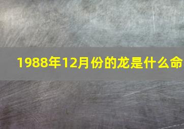 1988年12月份的龙是什么命