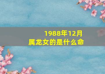 1988年12月属龙女的是什么命