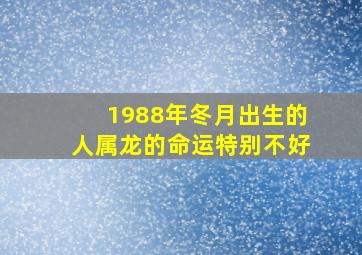 1988年冬月出生的人属龙的命运特别不好