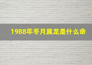 1988年冬月属龙是什么命