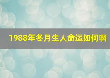 1988年冬月生人命运如何啊